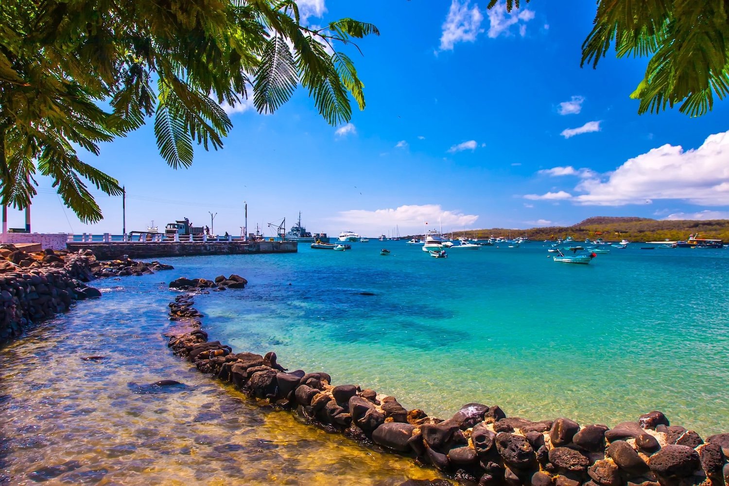 isabela island galapagos