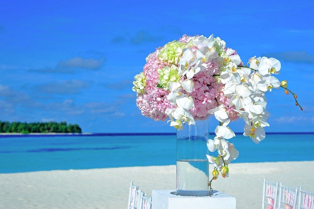 wedding island