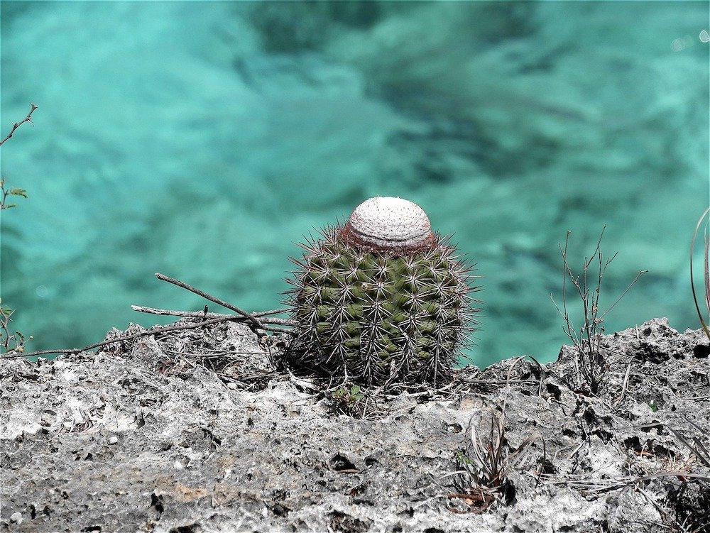 bonaire geography