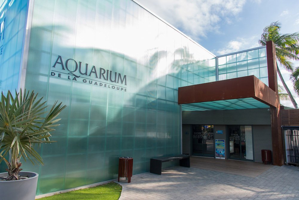 guadeloupe aquarium