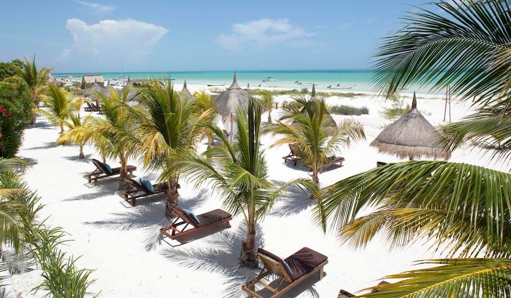A Comprehensive Guide to Visiting Isla Holbox in Mexico