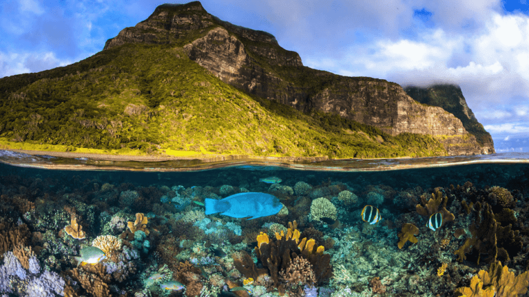 Lord Howe Island Travel Guide: Top Activities & Attractions - Isle Keys