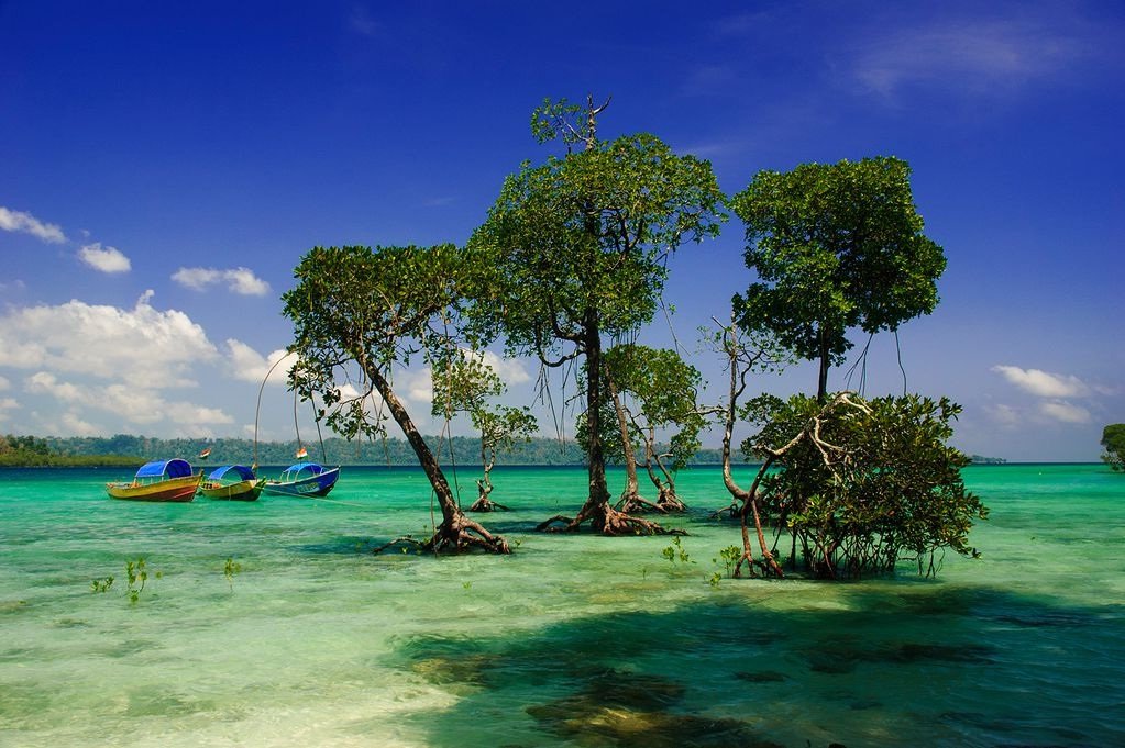 12 Unknown Facts About Andaman and Nicobar Islands
