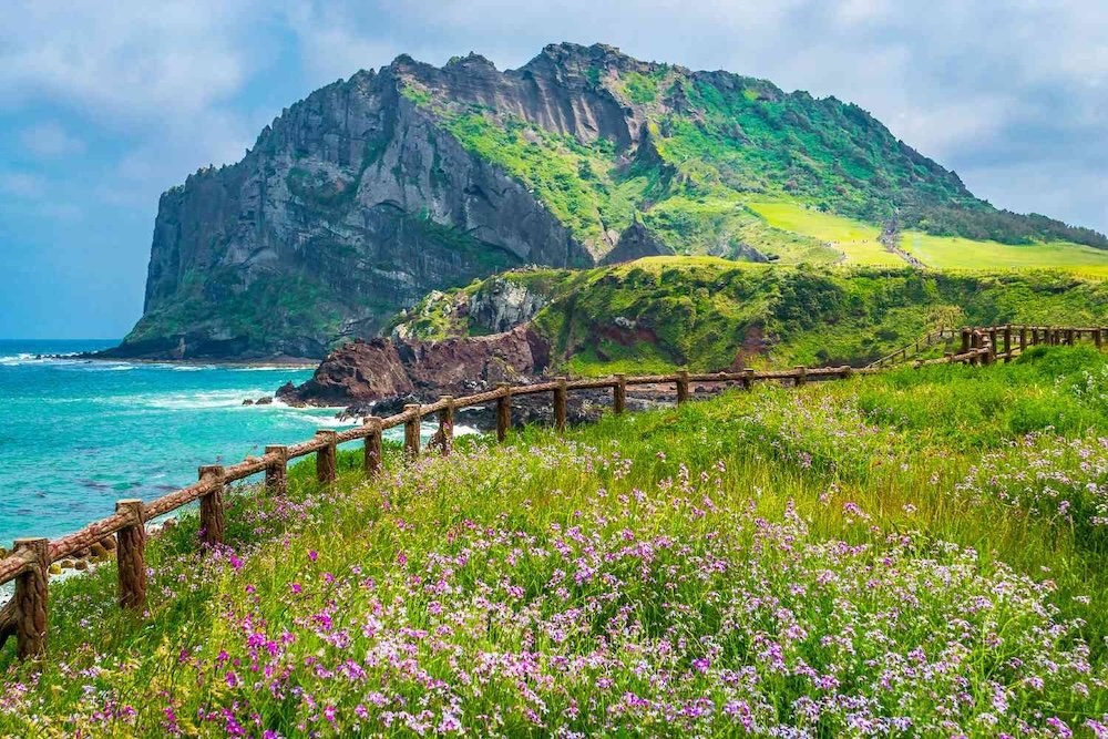 things to do in jeju island